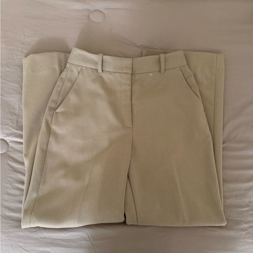 Zara pants